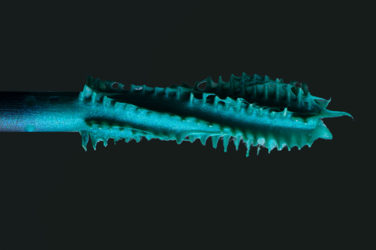 Close-up van een turquoise mascaraborstel met een uniek ontwerp, klaar om volume en definitie aan je wimpers te geven.