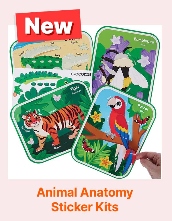 Animal Anatomy Sticker Kits
