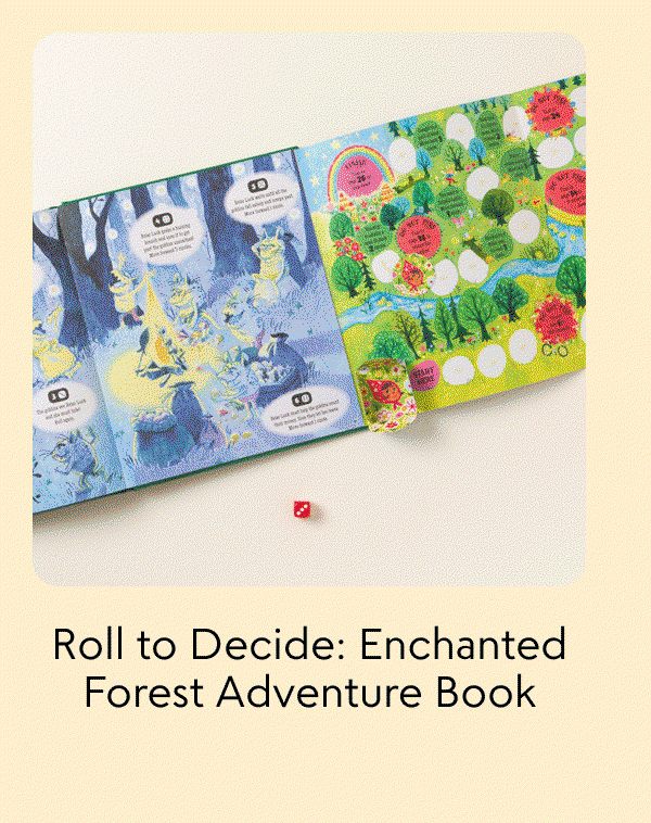 roll-to-decide-enchanted-forest-adventure-book