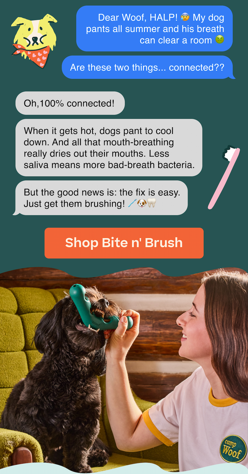 Shop Bite n' Brush