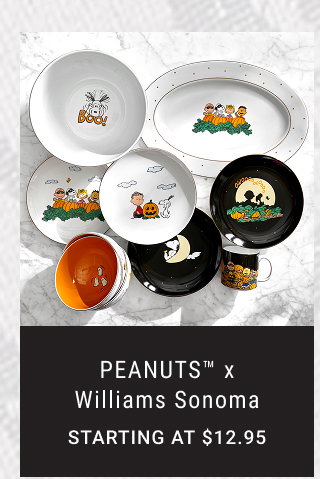 PEANUTS™ x Williams Sonoma Starting at $12.95