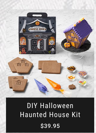 DIY Halloween Haunted House Kit $39.95