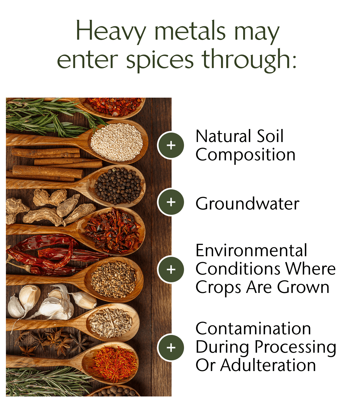 What are heavy metals? Heavy metals may enter spices through: