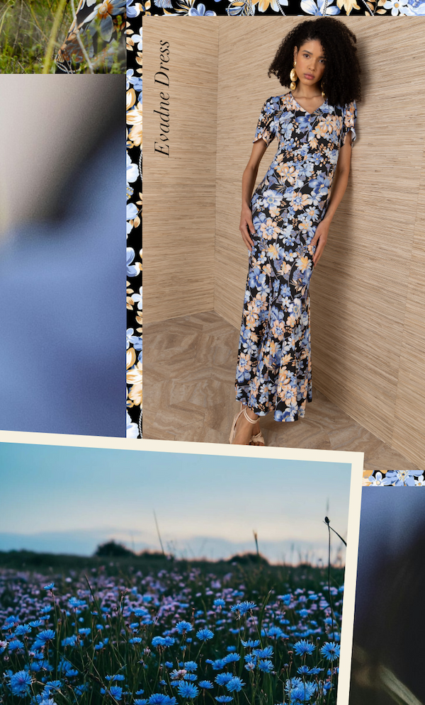 Evadne Dress