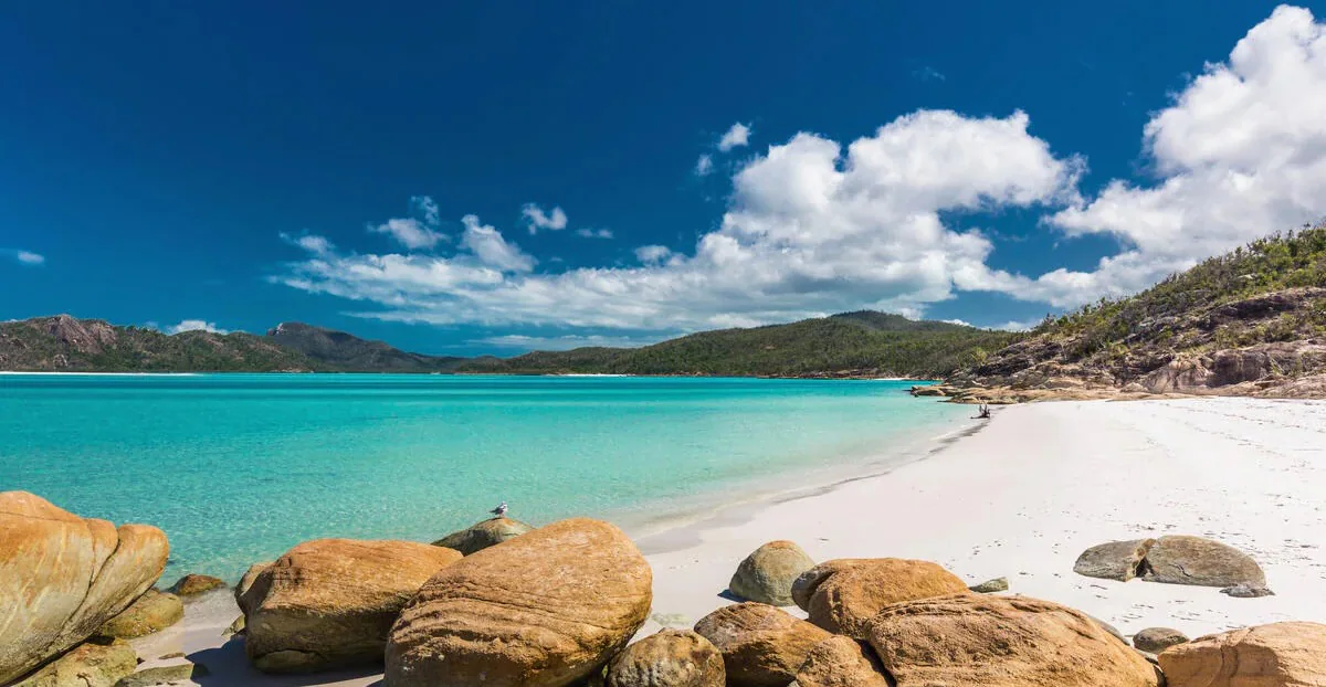 Get more trip for less with packages under AU$999