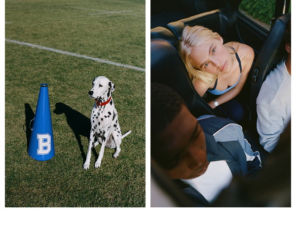 Dalmatian dog on sports field next to blue cone and woman in car