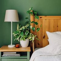 Doing This Earlier In The Day Could Completely Change Your Sleep