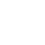 TikTok icon