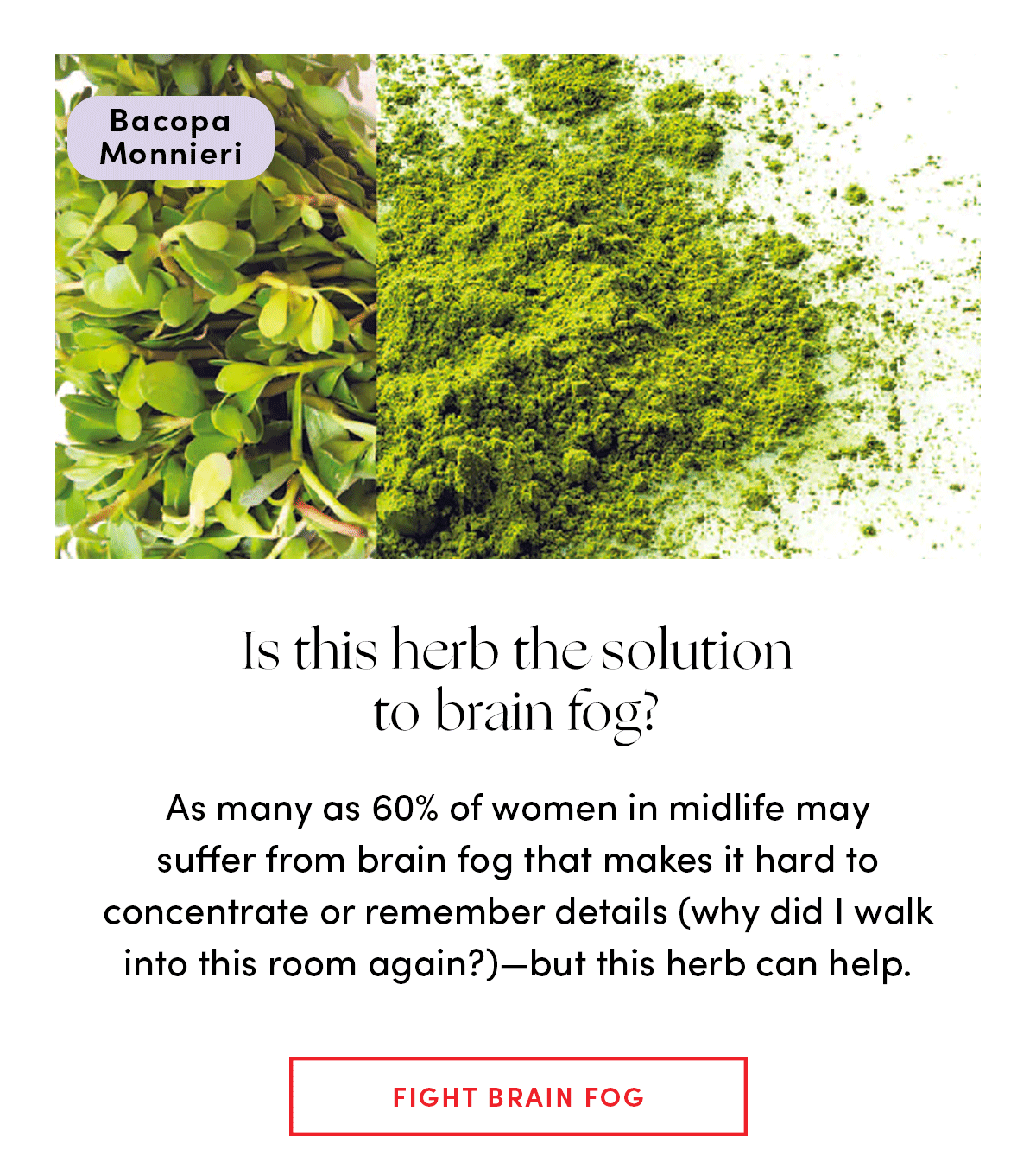 Is this herb the solution to brain fog 