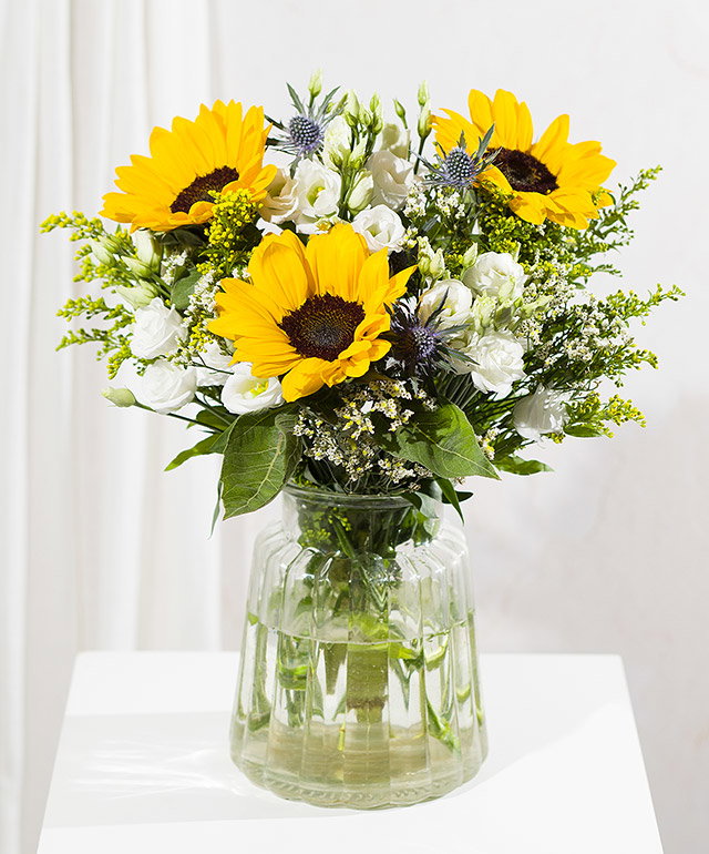 Sunflower Splendour