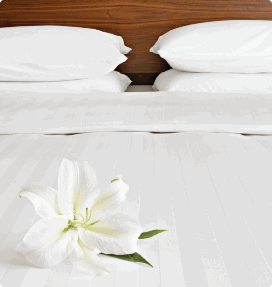 Shop pillow cases