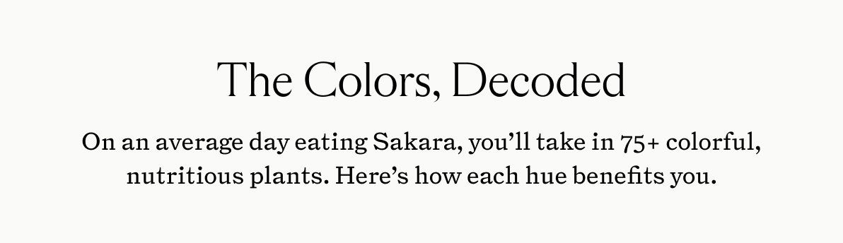 The Colors, Decoded