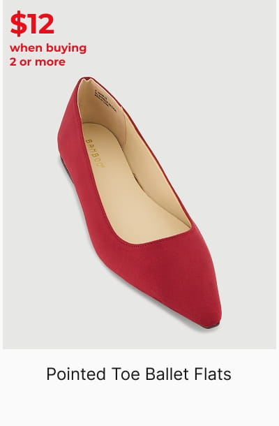 Shop Pointed Toe Ballet Flats