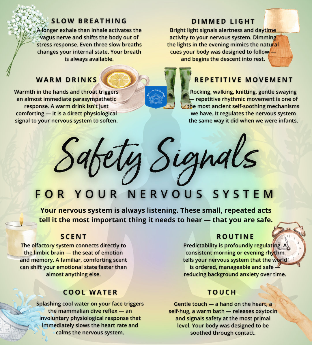 SAFETY SIGNALS INFOGRAPHIC