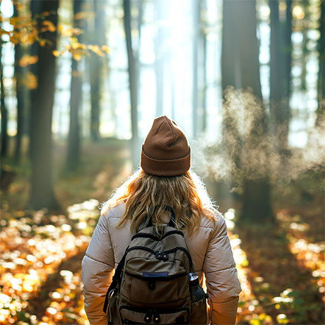 Shinrin Yoku — Forest Bathing Diploma Course image
