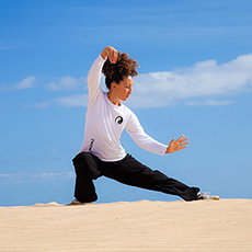 Tai chi Course mage