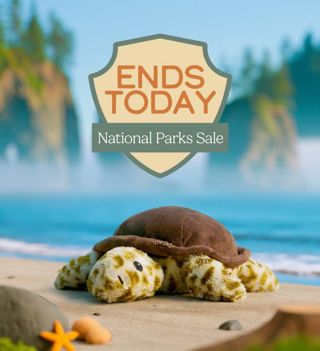 Turtle Warmies in Olympic National Park. Shop Sale.