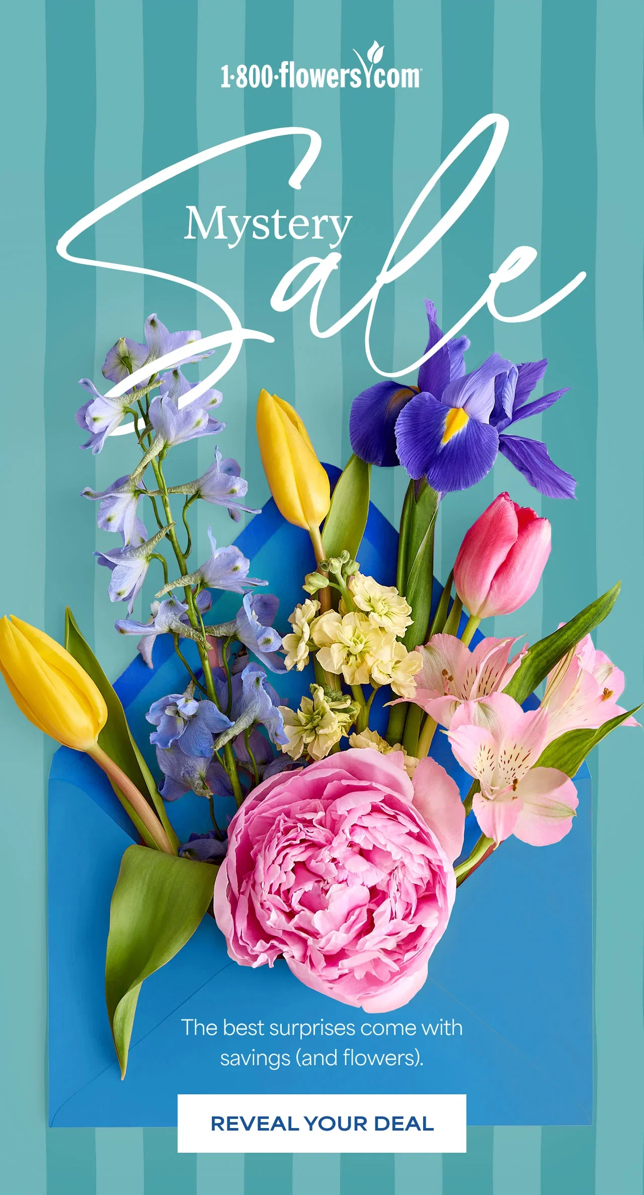 Mystery Sale | The best surprises come with savings - and flowers. 