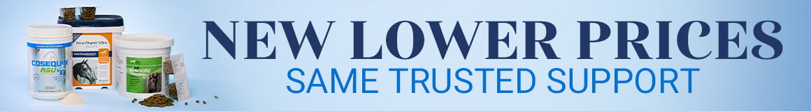 New Lower Prices