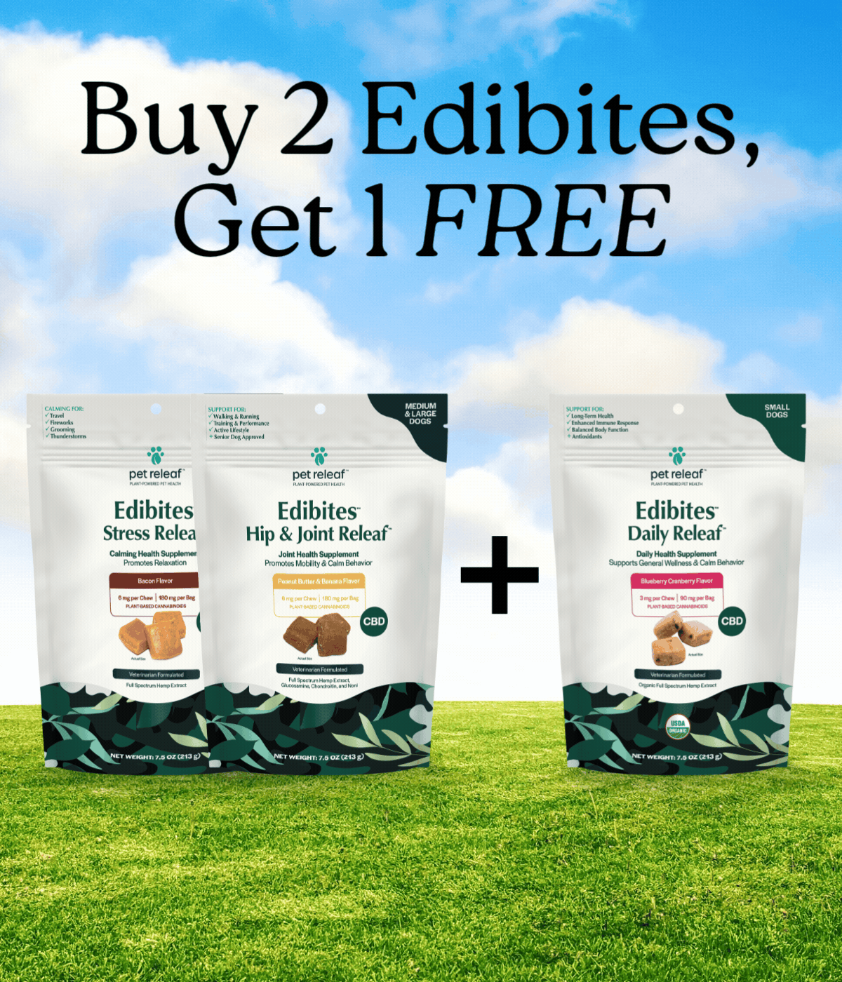 Buy 2 Edibites, Get 1 Free Graphic