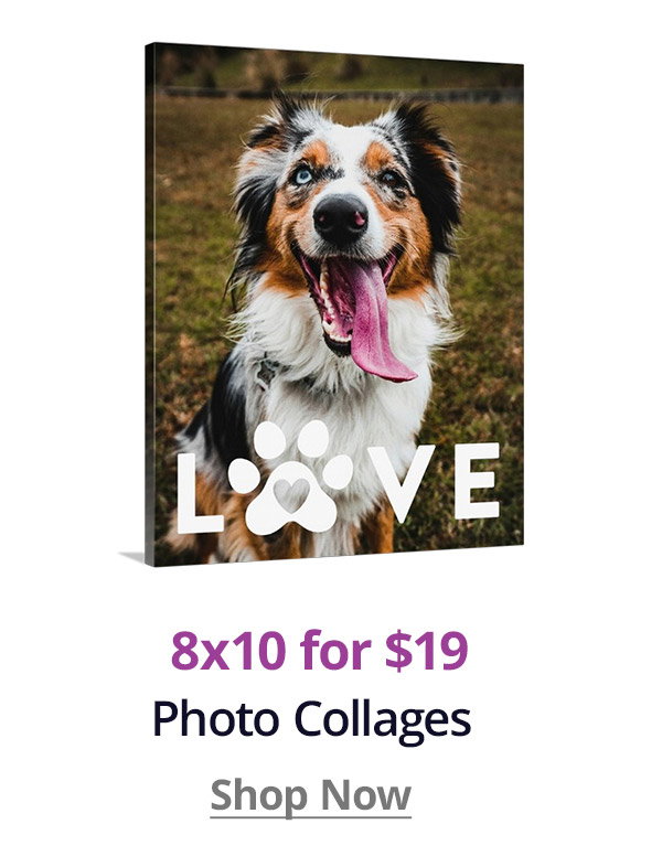 8x10 Photo Collages for $19! Shop Now