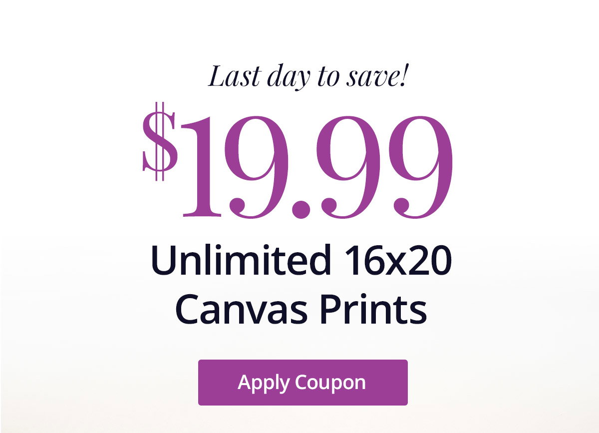 Last day to save! Unlimited 16x20 Canvas Prints for $19.99 each! Apply Coupon