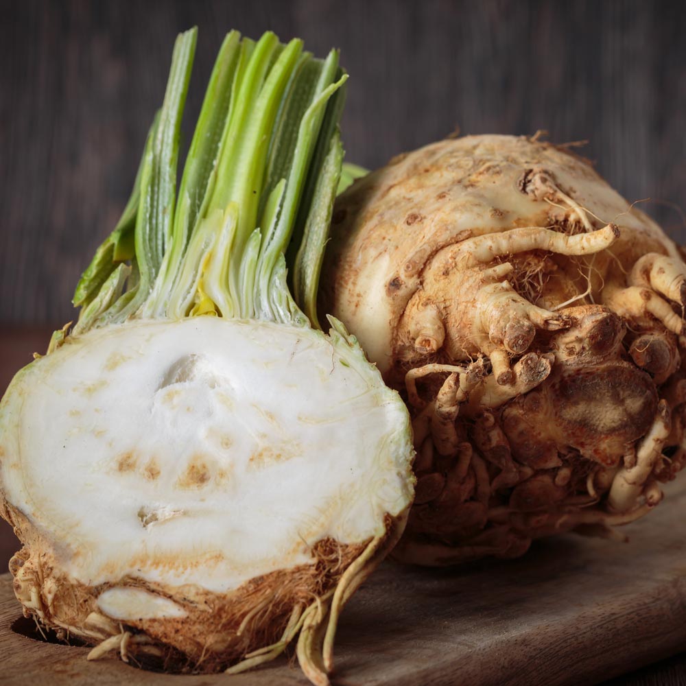 Celeriac 'Monarch'