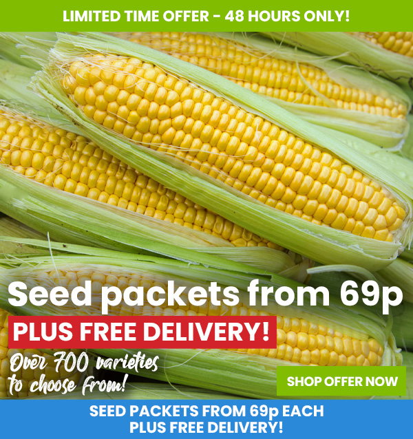Seed Sale