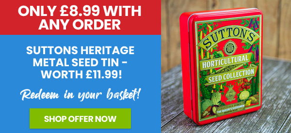 Seed Tin