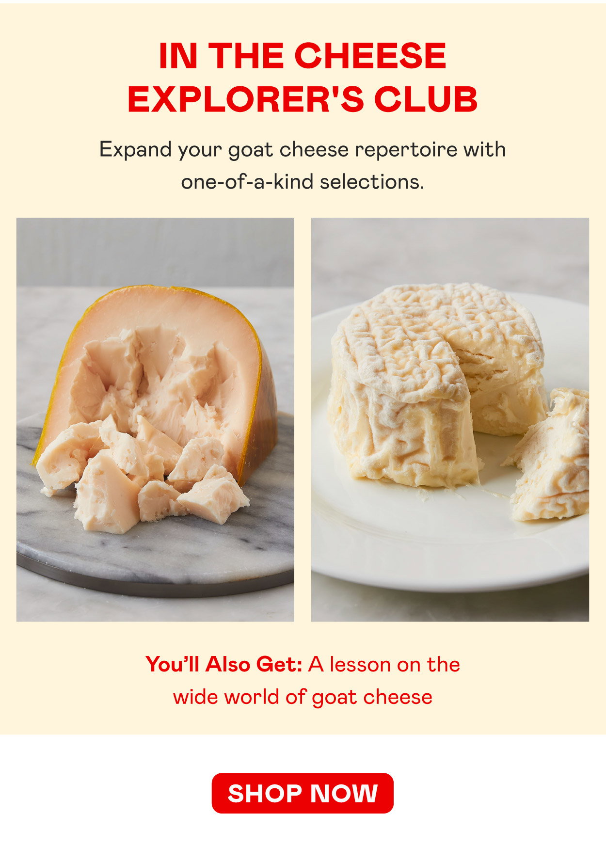 Cheese Explorer's Club