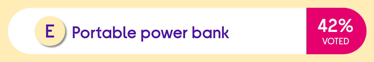 Portable power bank 