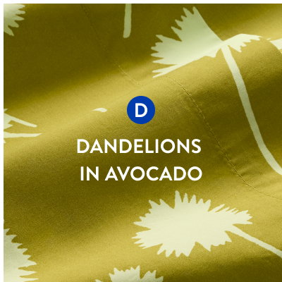 Dandelions in Avocado