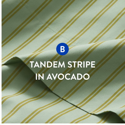 Tandem Stripe in Avocado