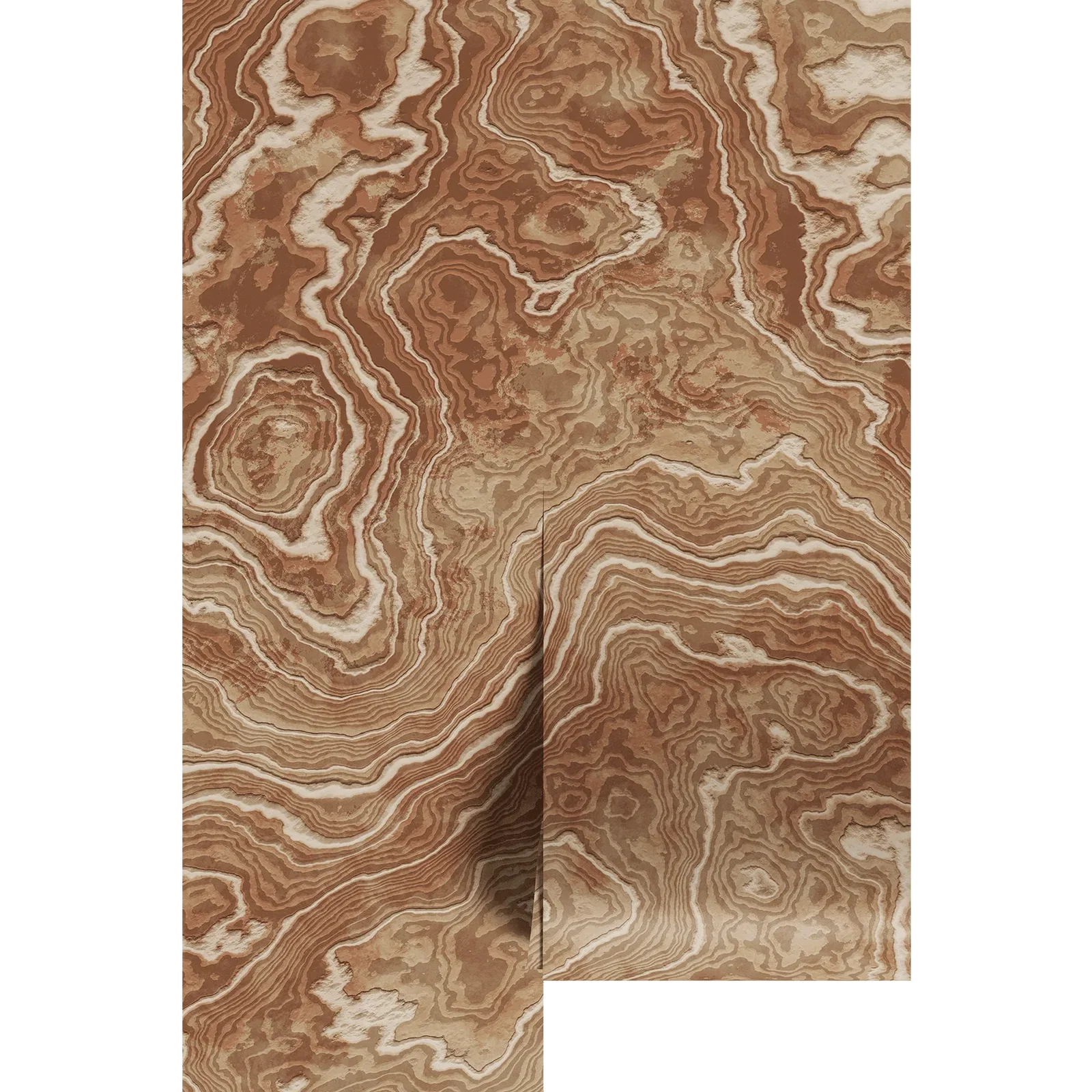 Image of Brown Burl Wood Wall Mural