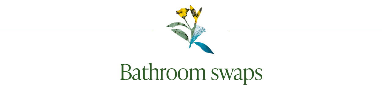 Bathroom swaps