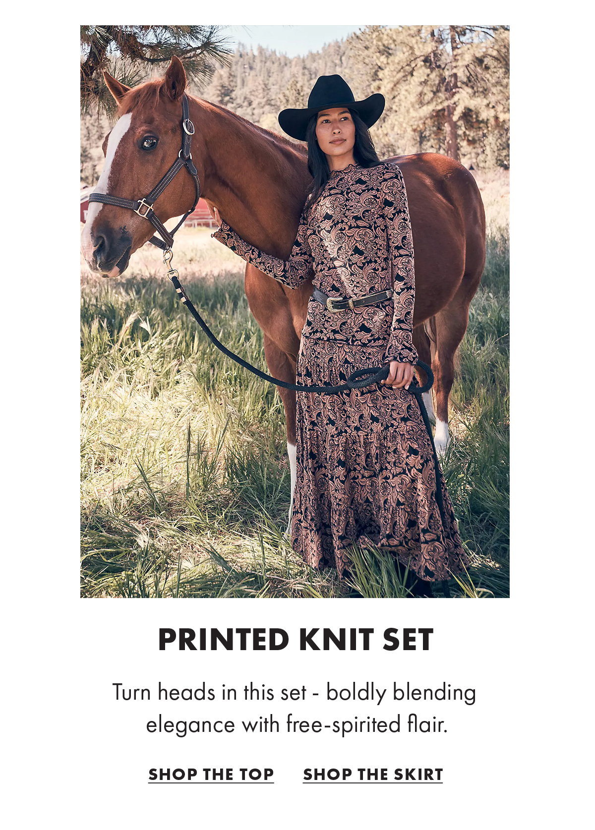 Printed Knit Set - Shop The Top - Shop The Skirt
