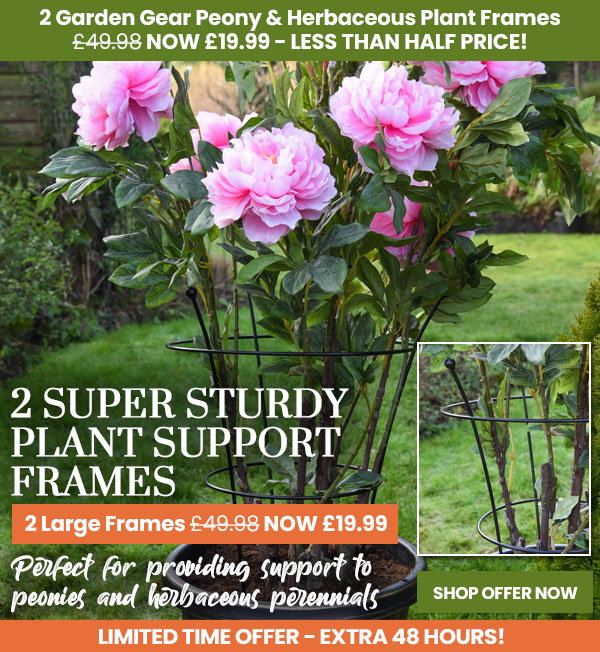 Garden Gear - Peony & Herbaceous Plant Frame