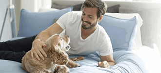 The Ultimate Bedding Guide for Pet Owners