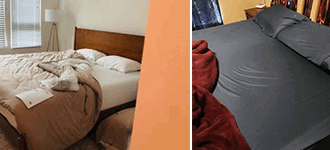 The Ultimate Bedding Guide for Pet Owners