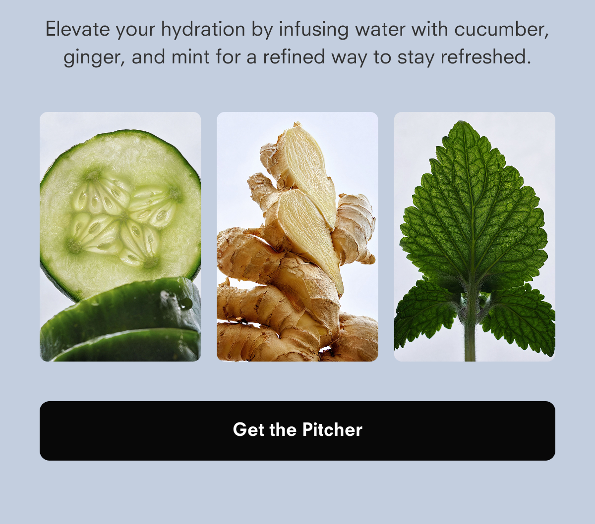 Elevate your hydration by infusing water with cucumber, ginger, and mint for a refined way to stay refreshed.  Get the Pitcher