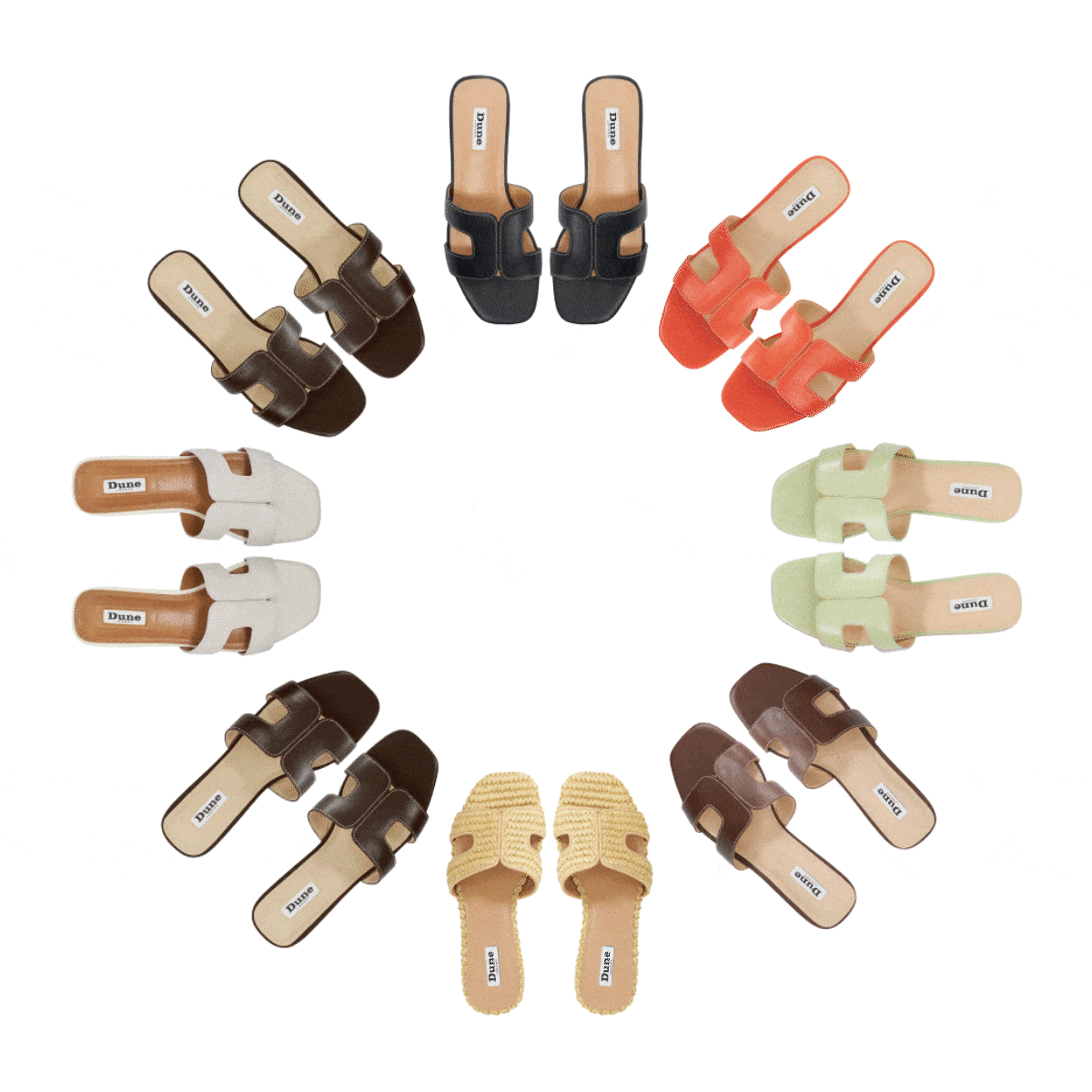 Shop Loupe