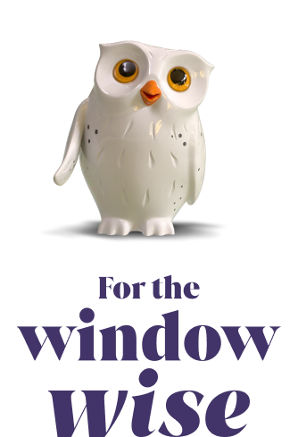 For the Window Wise