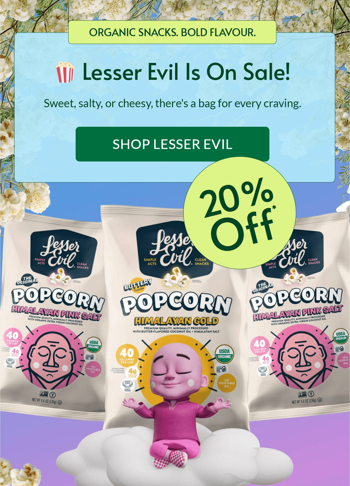 HERO SALES BANNER / LESSER EVIL / 20% OFF