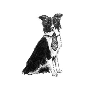 Dog Icon