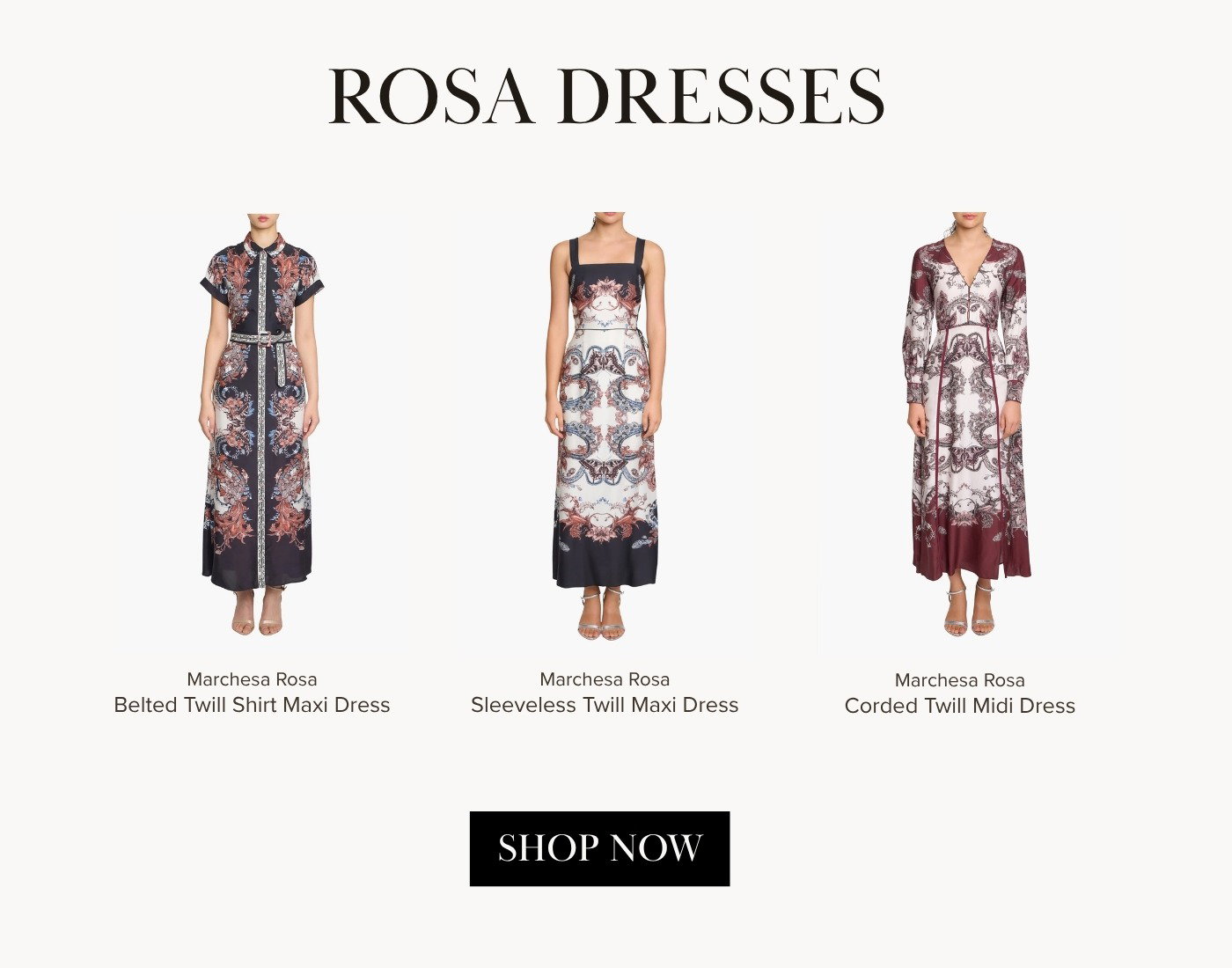 Marchesa Rosa