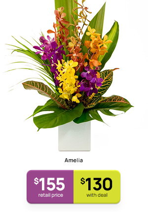 Ameila