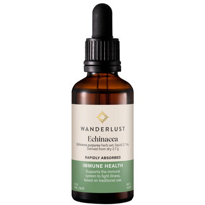 Wanderlust Echinacea