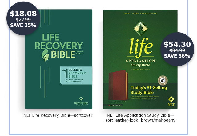 NLT Life Recovery Bible softcover | NLT Life Application Study Bible