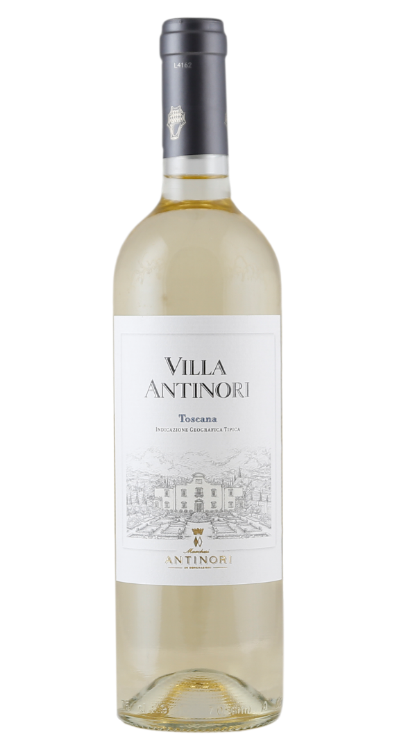 Villa Antinori Bianco 2024