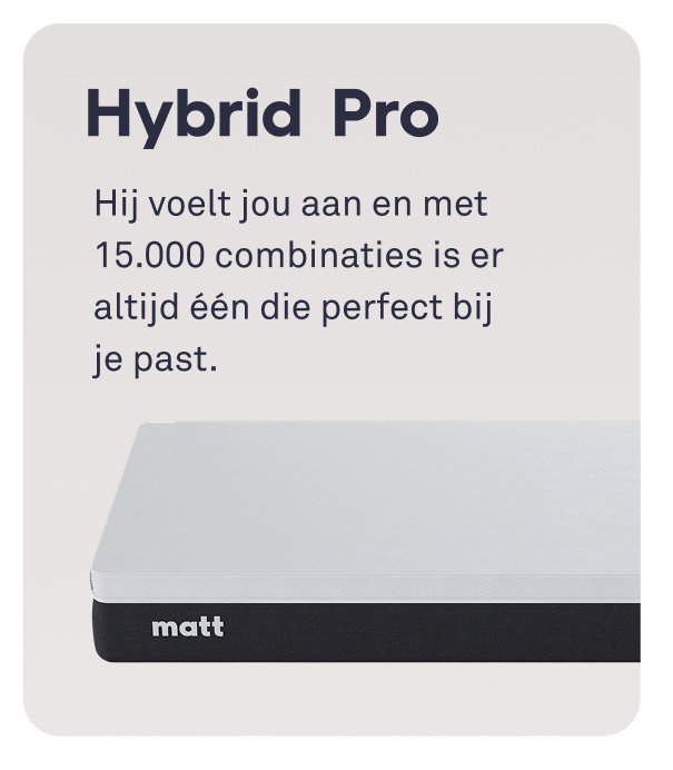 Hybrid Pro